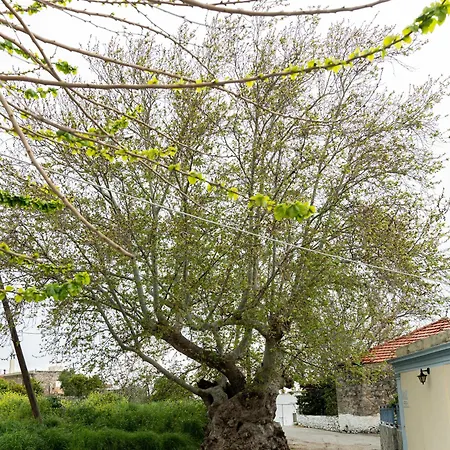 Luxury Getaway With Jacuzzi - Platanos House Feriehus