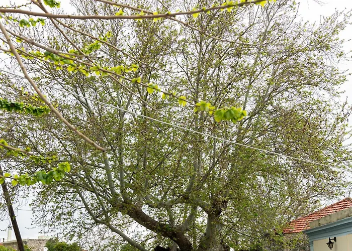 Luxury Getaway With Jacuzzi - Platanos House Semesterbostad